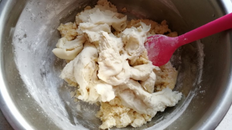 中种酸奶排包,再把中种面团用手撕成小块放进去；