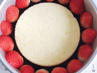 草莓装饰慕斯蛋糕,在模具正中间放入六寸的戚风片，周围沿着模具壁铺上半颗的草莓，围一周。