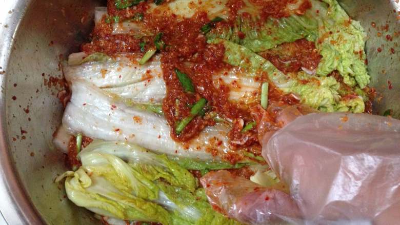 异域小菜-韩式辣白菜,
取一片挤干水分的白菜，用手在正反两面均匀的涂抹上一层酱料，再放一片再涂，如此重复，直至涂完所有的白菜（根部要多一些）