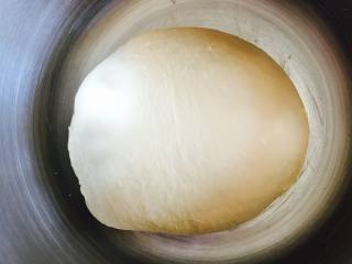 肉松面包（波兰种）,覆盖保鲜膜，基础发酵