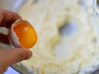 香酥原味曲奇,加入鸡蛋黄