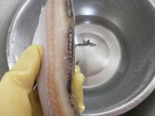 红烧鳕鱼,将鳕鱼的内脏清洗干净。外皮的小鳞片用小刷刷掉，剪掉边上的鱼鳍，