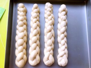 中种辫子面包（无黄油版）,放在烤盘内，辫子之间留一点间距，入烤箱二次发酵至两倍大