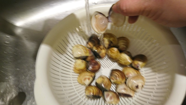 蛤蜊鸡汤,清水洗淨並確認蛤蜊新鮮度