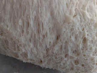 热狗面包,中种材料混合揉至无干粉，放保鲜盒密封放冰箱冷藏17-20小时，如图出蜂窝就可以了。