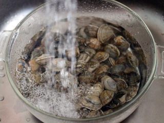 香爆咖喱花蛤,用自来水浸泡1个小时后、洗净备用