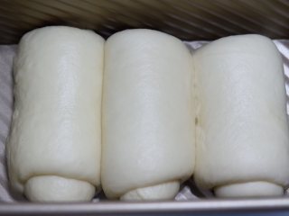 炼奶吐司,全部卷好之后，放入土司盒。盖上保鲜膜，放温暖湿润处，进行最后的发酵。