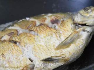长江鳊鱼这样做才好吃,农家做法简单又实用,原汁原味惹人爱,煎至两面金黄取出备用