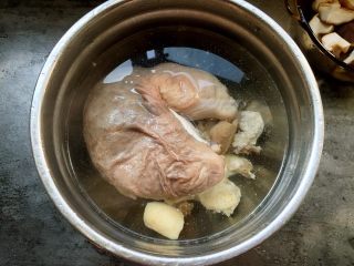 清炖土鸡猪肚汤,将焯水的猪肚和鸡肉再次清洗干净。