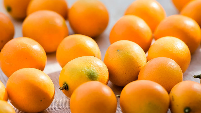 能治嗓子疼的咸金橘,金桔。