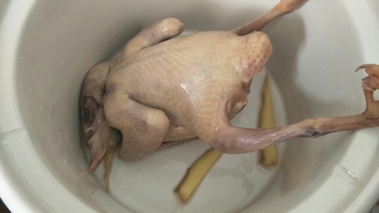 滋补乳鸽汤,把焯过水的鸽子放入电炖锅或者砂锅，加入几片姜片