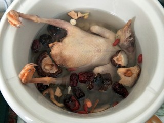 滋补乳鸽汤,加入适量水，盖上盖子炖三个小时