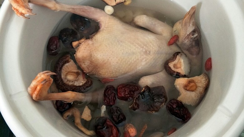 滋补乳鸽汤,加入适量水，盖上盖子炖三个小时