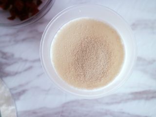 蔓越莓牛奶发糕,如图，将酵母倒入配方奶中搅拌均匀