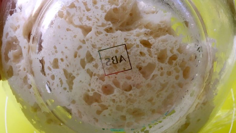 中种奶香吐司,发酵好的酵头能看到很多孔洞，有点像蜂巢，闻起来有淡淡的酸味