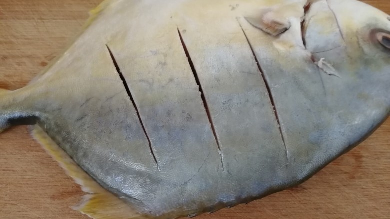 红烧鲳鱼焖茄条,把鱼用刀两面划几道