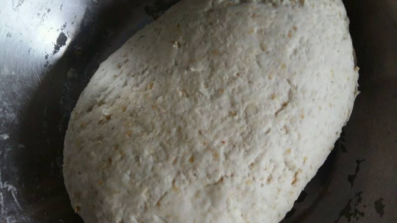 小麦胚芽核桃酱花卷,揉成光滑的面团放在温暖的地方发酵。也可以放在有热水的锅里发酵。冬天大概发酵久一点，1.5小时左右。
