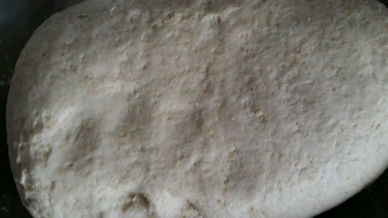 小麦胚芽核桃酱花卷,面团重新揉一下排气。