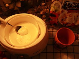 营养风味酸奶杯,经12小时发酵后，分别打开全自动酸奶机外壳与内胆的上盖。发酵好的固体酸奶不仅外观细腻、稳定，而且风味独特。