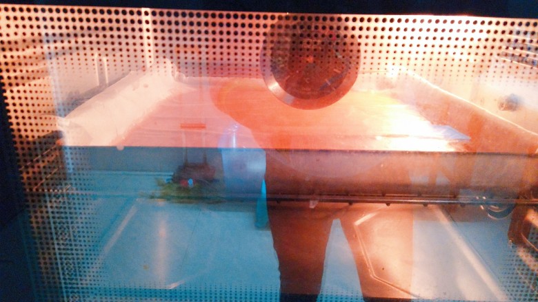 百变山楂,放入烤箱用热风烤模式，上下火100度烤一个小时即可