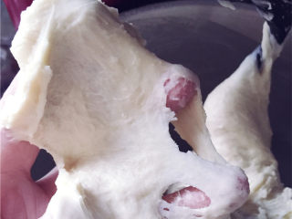 酸奶老面包-可以拉丝的面包,接下来出筋膜阶段。这时的筋膜还是比较脆弱的，拉扯后很快破裂，并在破裂的边缘形成锯齿状花纹。这个时候可以加入黄油和食盐了。