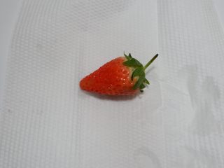 百变水果—情人节巧克力草莓,洗干净，用厨房纸擦干净水份，一定要很干