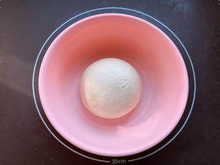 燕麦粒蜜豆小餐包,将面团团圆放入盆中，包上保鲜膜，室温进行一次发酵