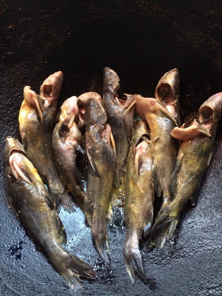 紫苏黄骨鱼汤,倒入少许油把鱼小火煎香。