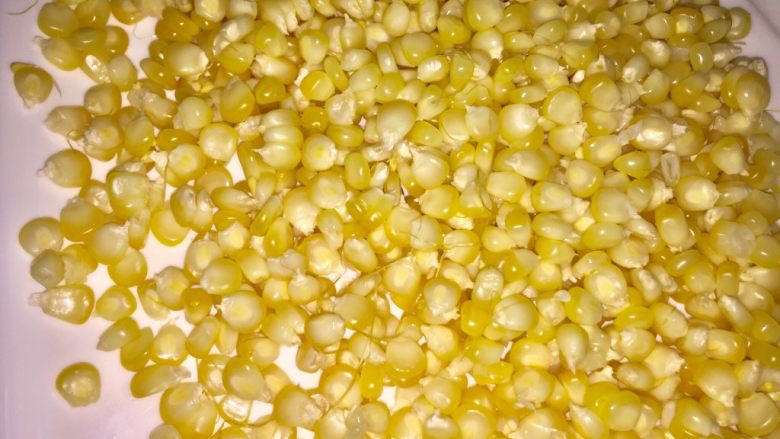 黄金玉米烙,将放凉后的玉米，剥下来，要一粒一粒的完全分开。
