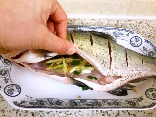 清蒸鳊鱼,鱼放在姜丝上，鱼肚子里放上小葱和姜丝