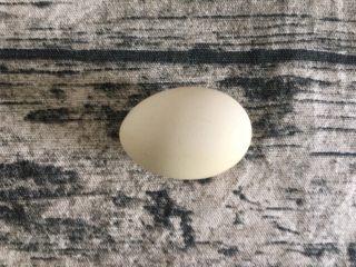 鸡蛋煎杂粮馒头,鸡蛋洗干净