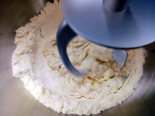椰蓉小餐包,把做好的波兰种放入厨师机里，再把主面团除黄油以外的全部材料一起放入厨师机里，揉到面团光滑放入软化好的黄油继续揉。
