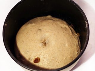 黑麦葡萄干椰子油软欧,发酵好的面团中间戳孔不回缩