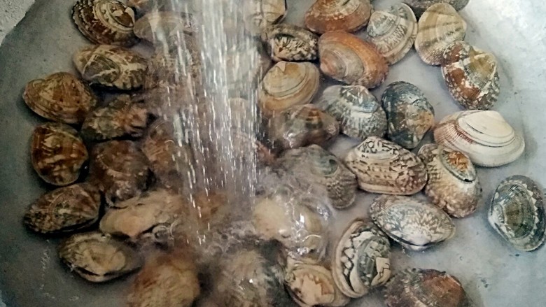 酒蒸蛤蜊――快手复刻美味,买回的花蛤用淡盐水浸泡一下，洗净后沥水捞出装在盘中。