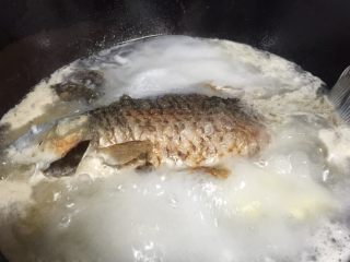 鲫鱼炖豆腐,煮到水烧开