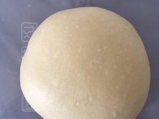 香葱肉松面包卷（65度汤种法）,取出稍微整形滚圆放入容器中开始发酵，一发温度26-28度时间看状态，我基础发酵50分钟，翻面后继续发酵20分钟