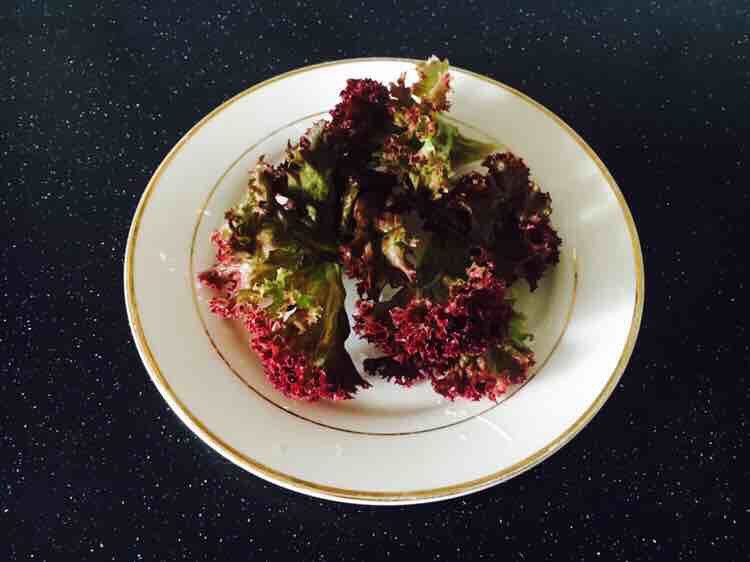 平衡体热 清热解腻 缤纷蔬菜水果沙拉,紫色生菜撕成小朵。