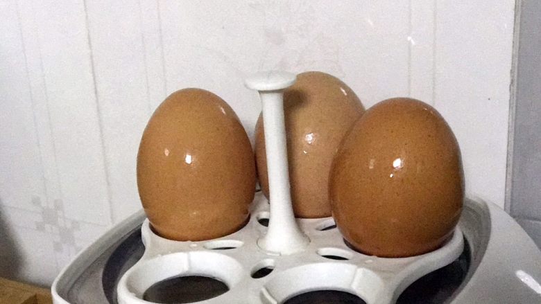 快手营养早餐02,鸡蛋洗净表皮，上蒸蛋器，盖上盖子，通电蒸蛋；
