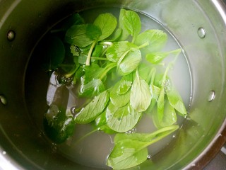 一碗让人欲罢不能的油泼面,煮好之后控水捞出面，将小青菜烫熟。