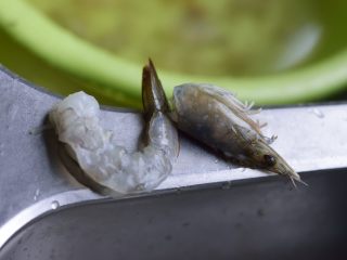 时蔬对虾仁,剥壳，保留尾巴上的壳。去头。虾头不要扔。