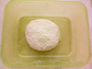 椰蓉小面包,中种材料混合揉至无干粉，放保鲜盒密封放冰箱冷藏17-20小时。