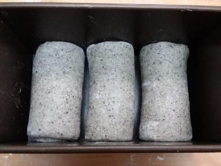 黑芝麻吐司,全部卷好之后，放入土司盒。盖上保鲜膜，放温暖湿润处，进行最后的发酵。发至模具的9分满