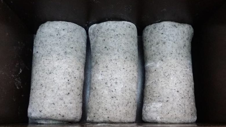 黑芝麻吐司,全部卷好之后，放入土司盒。盖上保鲜膜，放温暖湿润处，进行最后的发酵。发至模具的9分满
