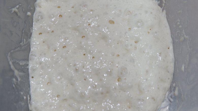 波兰种北海道牛奶吐司,室温发酵、冷藏发酵都可以
当液种表面出现气泡或者气孔，内部呈现丰富的蜂窝状时，就可取用了。