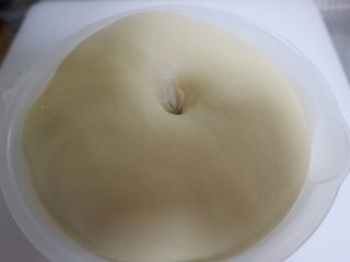 波兰种北海道牛奶吐司,发酵好的面团，手指粘干粉轻戳，不塌陷不回缩（或者缓慢回缩）