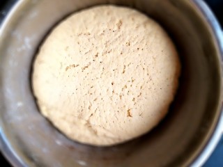 做饼~玉米面豆沙饼,第二天早晨，发酵好了的面团，反复和面。