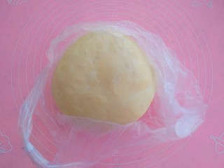椰蓉牛奶小面包,取出面团放入食品袋放入冷藏室发酵一晚