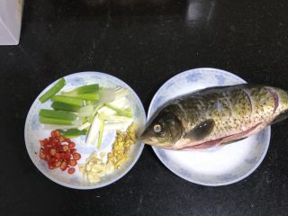 葱烧鲫鱼,大葱切段，鱼打刀口