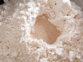 五福临门～一个面包五种口感,面粉上面挖一个洞，倒入酵母，用面粉盖起来