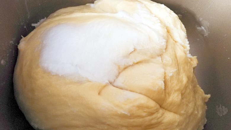 牛油果奶酪小餐包～一次发酵,十五分钟后（用手拉有厚膜）加入椰子油（采用的是后油法）